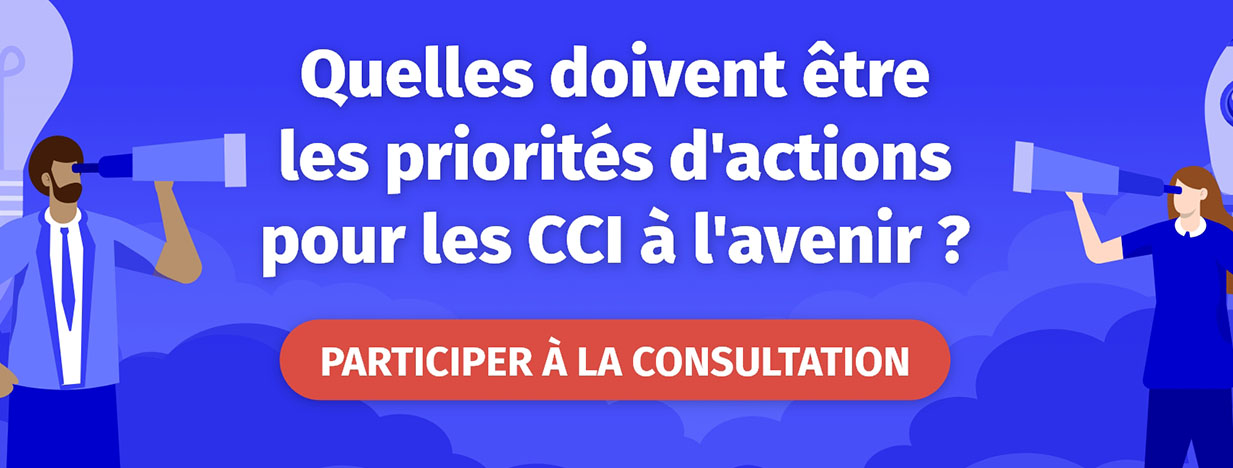 Consultation CCI