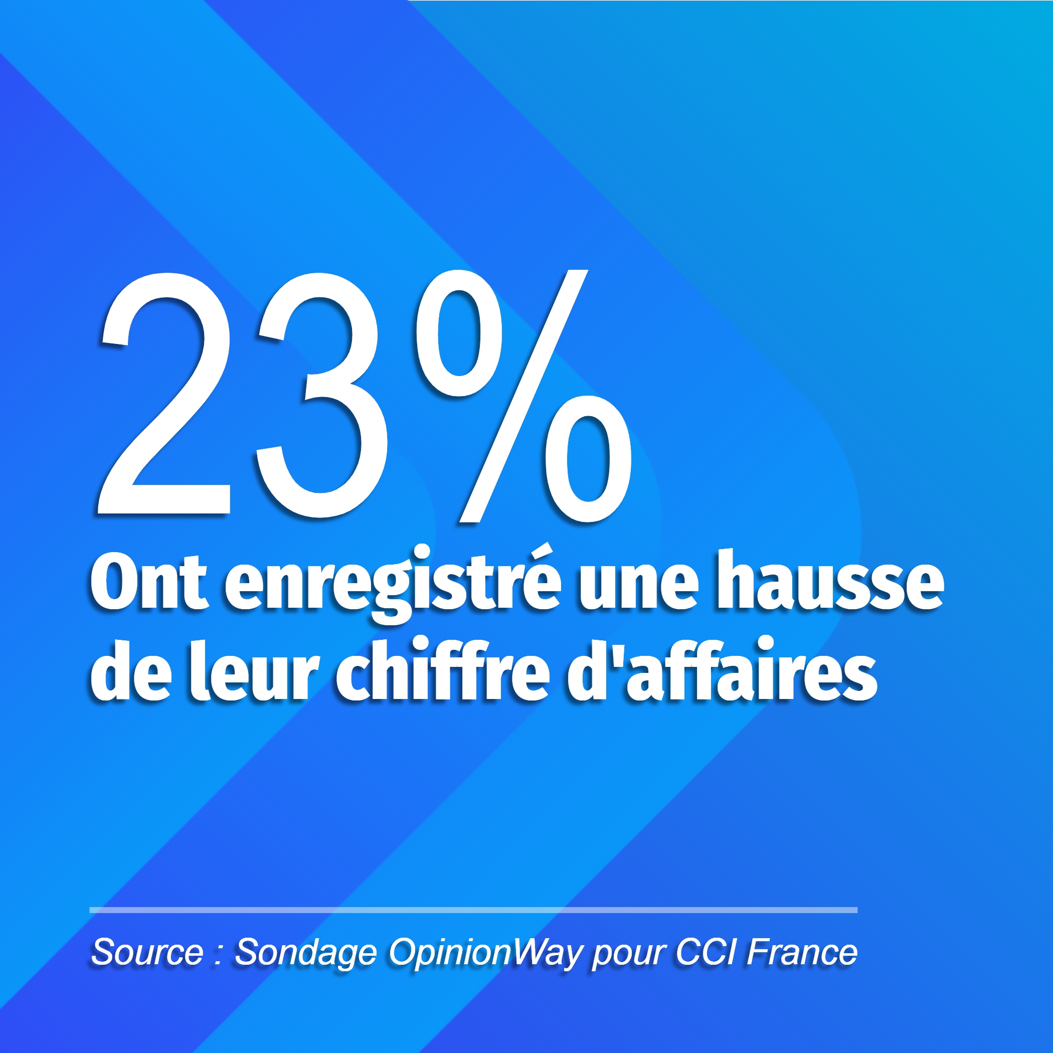 Ont enregistré une hausse de leur CA