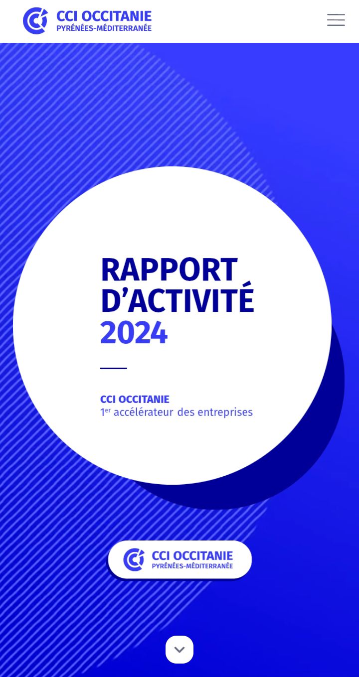 Rapport d'activité interactif 2024 - CCI Occitanie