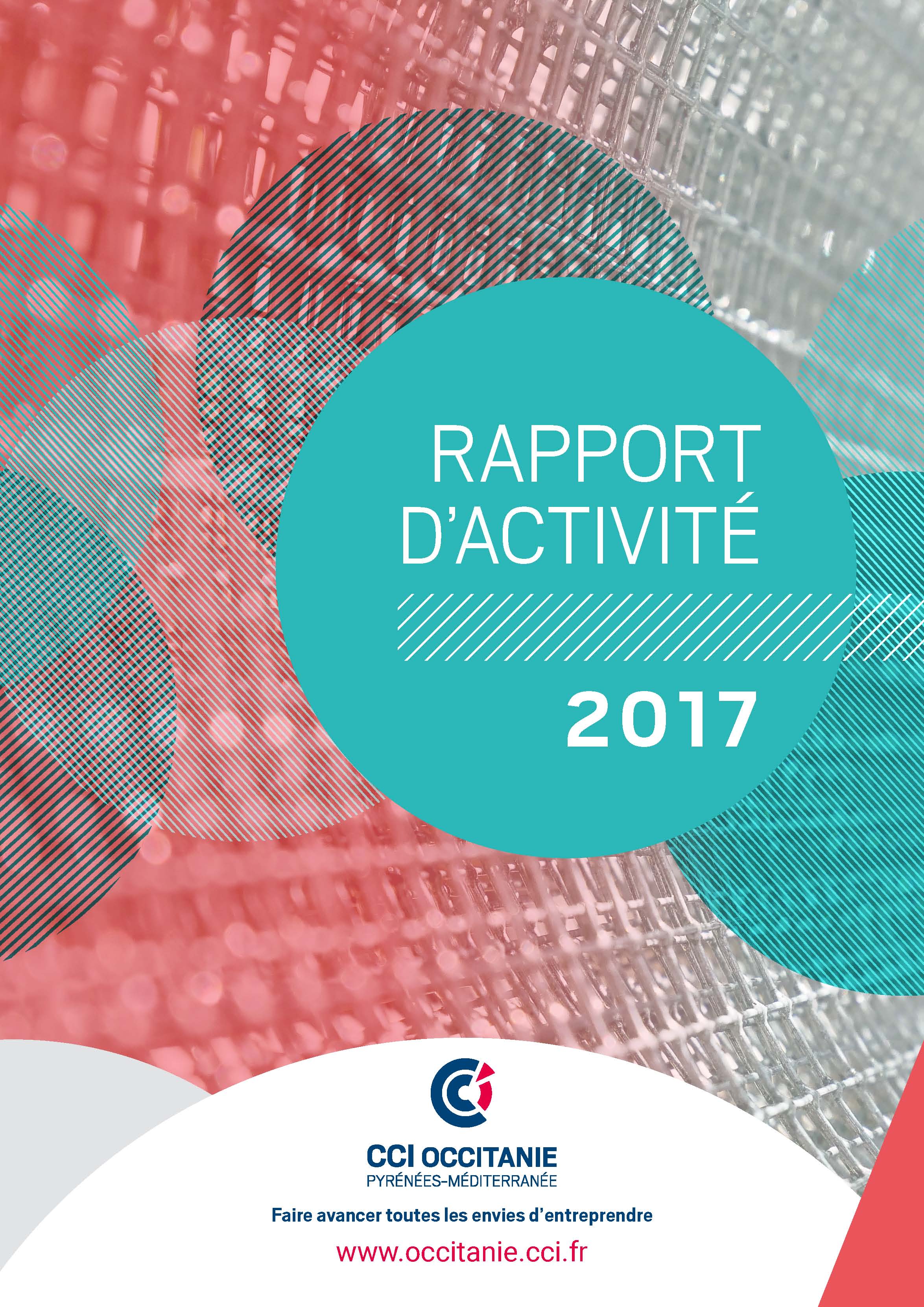 Une Rapport Activité 2017