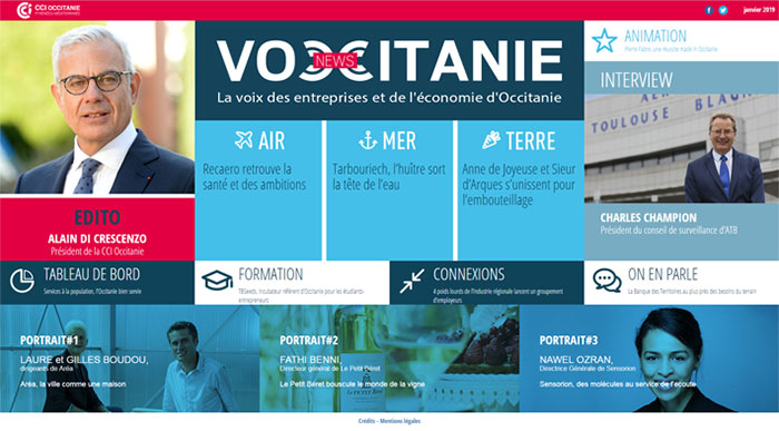 VN8-janvier 2019