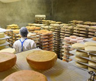 FROMAGERIE DU COL DEL FACH, MODERNISER L’OUTIL, PAS LE PRODUIT