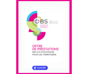 ZOOM SUR LES EFFETS DU RECONFINEMENT EN OCCITANIE