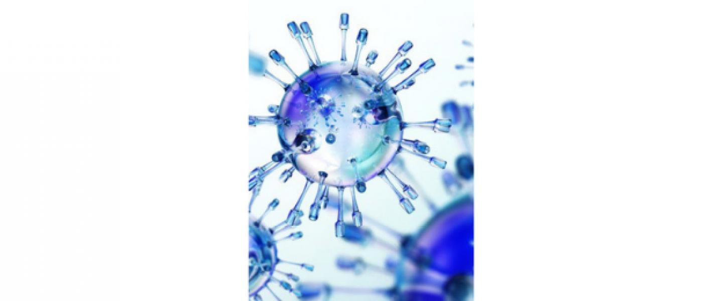 DIVINCELL DONNE UN COUP DE CISEAU DANS LES CELLULES TUMORALES