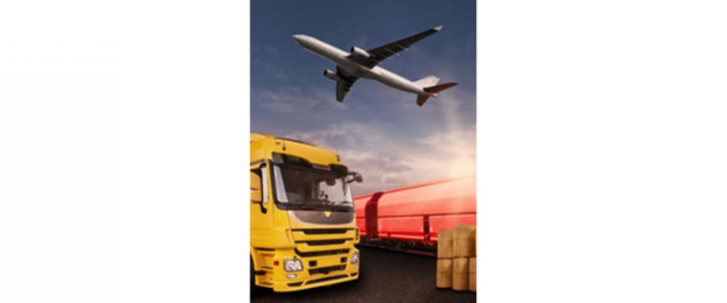 LA FILIÈRE TRANSPORT SÉVÈREMENT IMPACTÉE