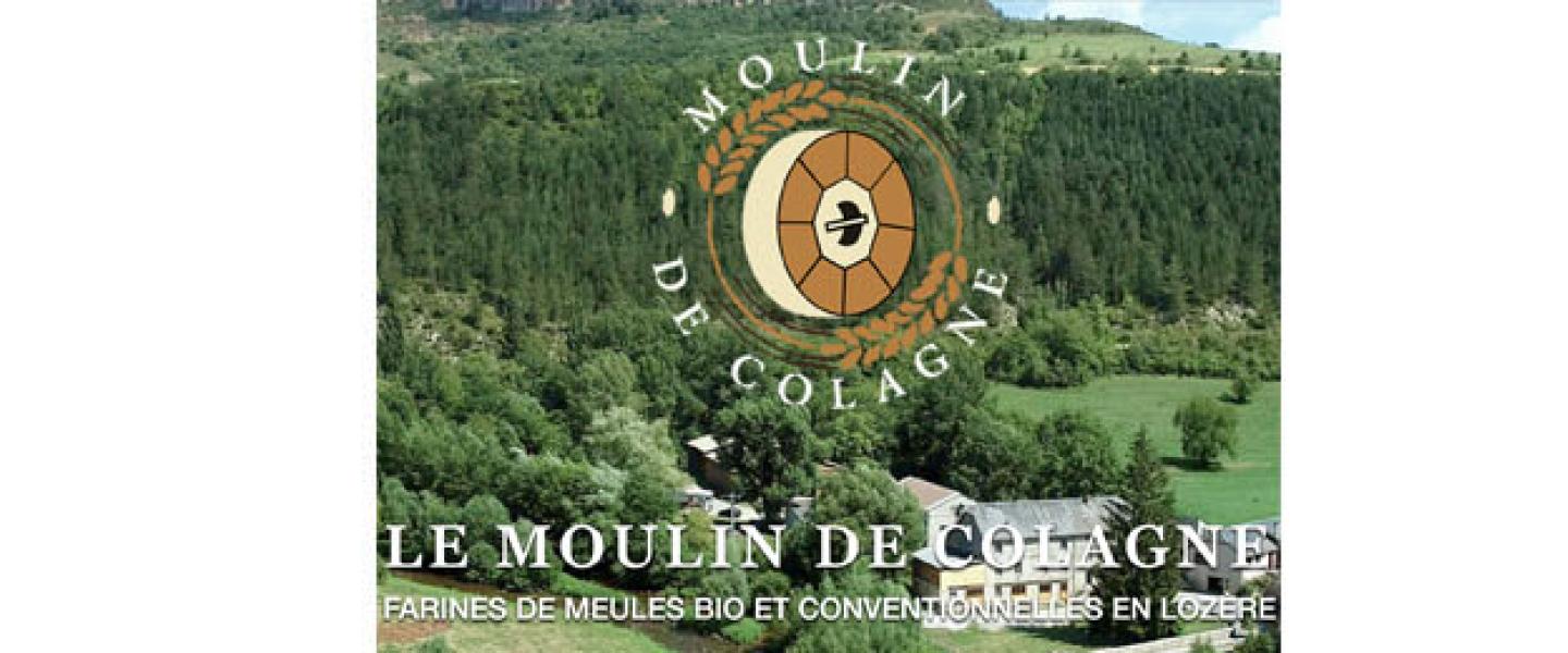 VE43-Le Moulin de Colagne-site