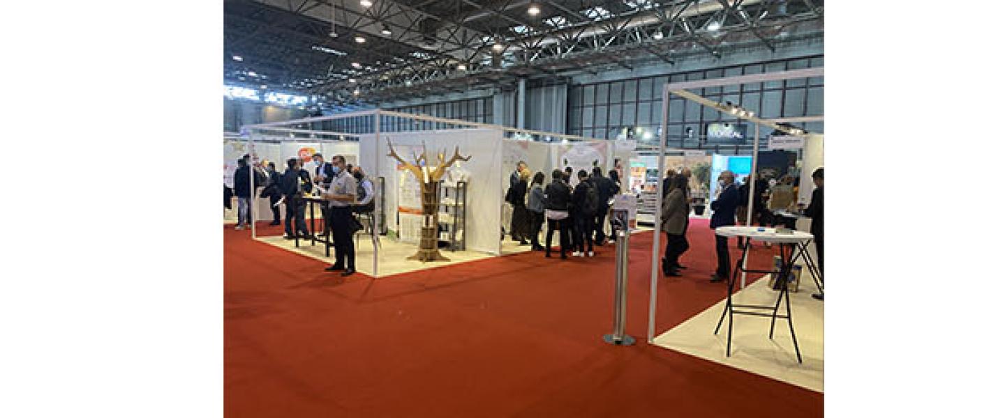 VE38-bref-imaginexpo-vignette