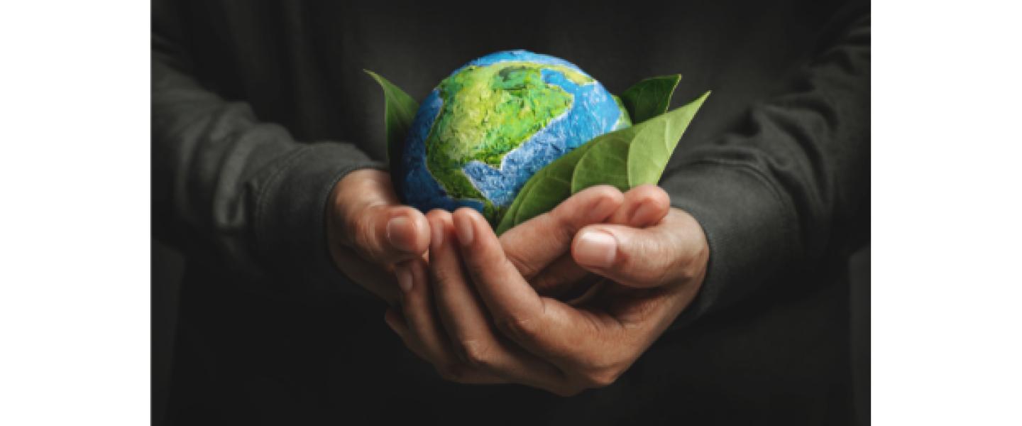 developpement durable