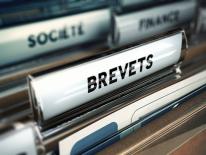 propriete intellectuelle